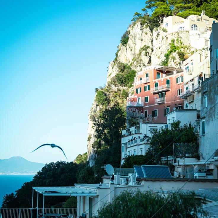 Family-friendly dining with comfy seating